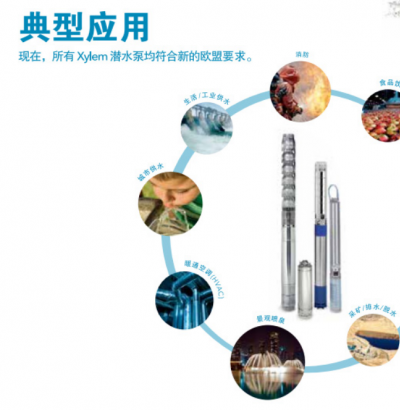 Lowara 潜水深井泵Borehole系列 